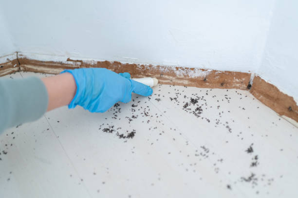 Professional Pest Control in Algood, TN